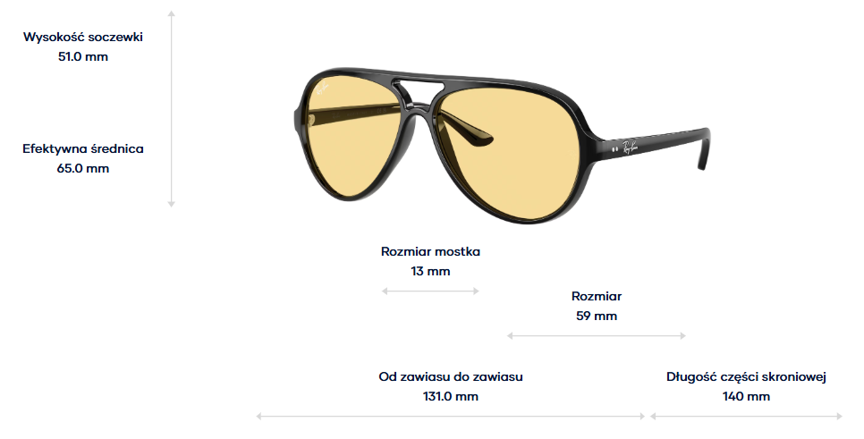 Ray-Ban Sunglasses CATS 5000 RB4125-601/R6