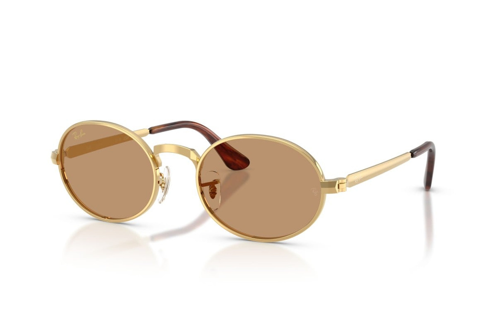 Ray-Ban Sunglasses RB3931-001/53