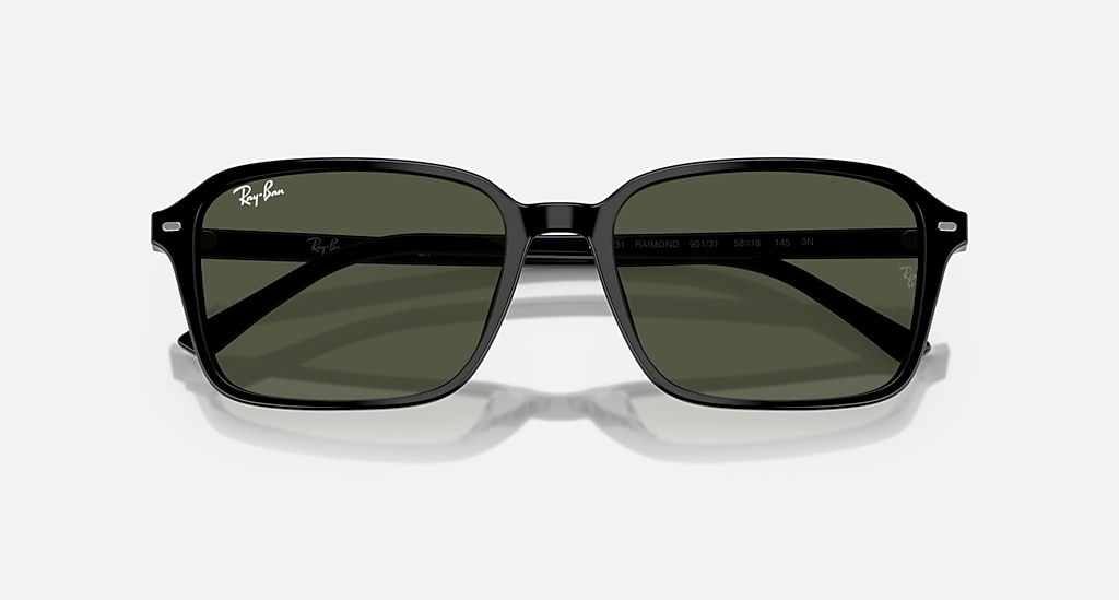 Ray-Ban Sunglasses RAIMOND RB2231-901/31