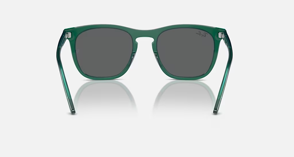 Ray-Ban Sunglasses RB2210-6615B1