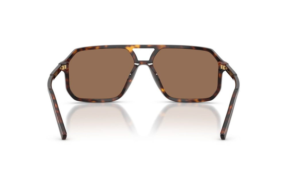 Dolce & Gabbana Sunglasses DG4541-502/73