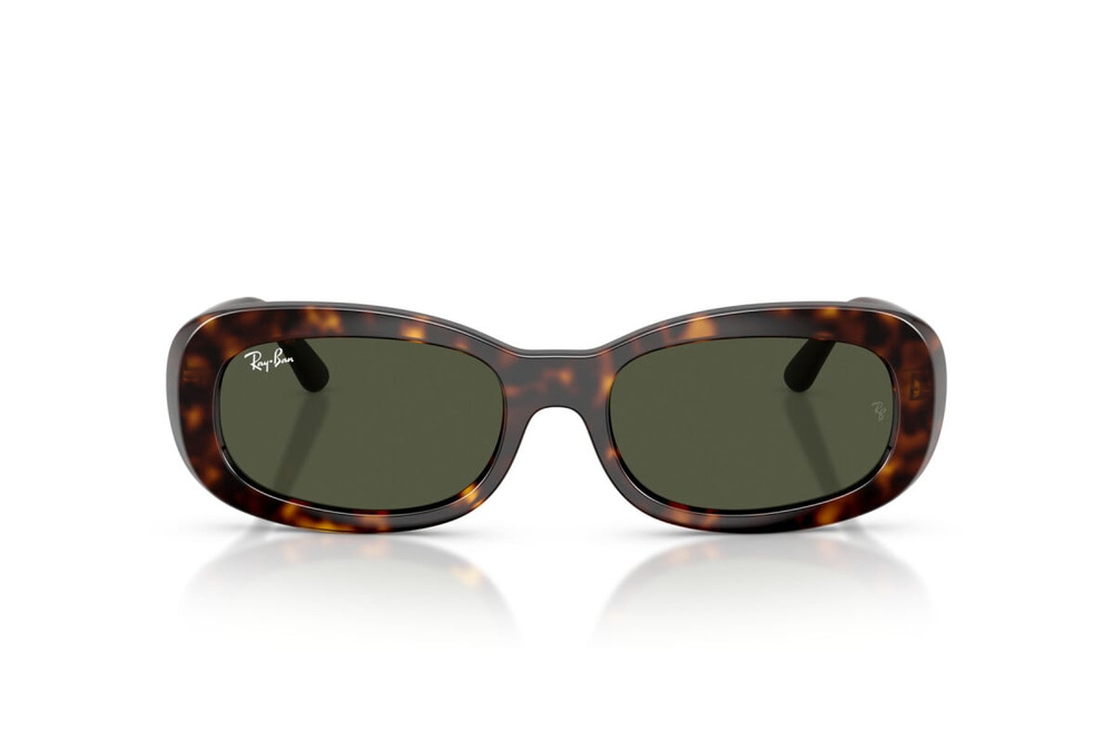 Ray-Ban Sunglasses RB2221-902/31