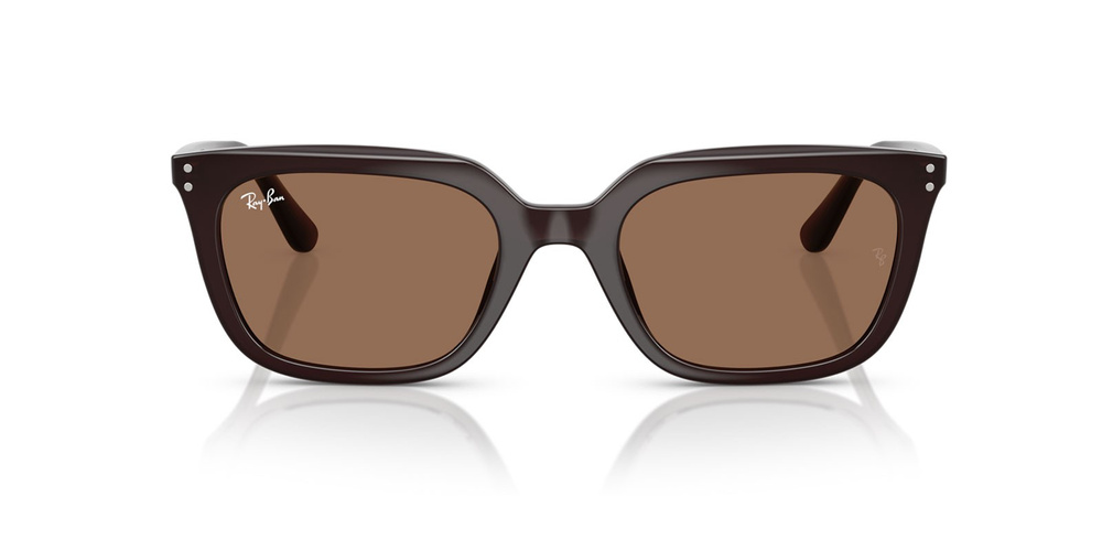 Ray-Ban Sunglasses RB4439D-623173