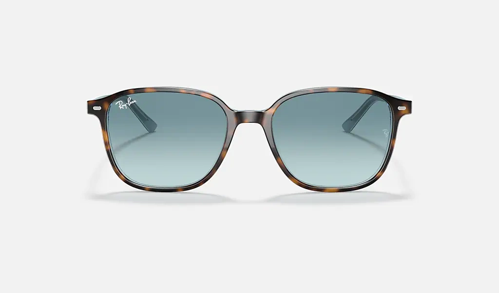Ray-Ban Okulary przeciwsłoneczne LEONARD RB2193-13163M