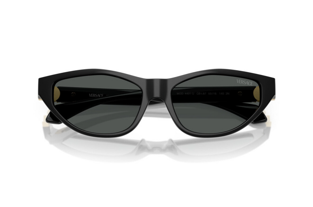 Versace Sunglasses VE4491U-GB1/87