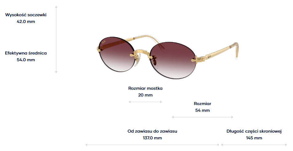 Ray-Ban Sunglasses RB3929-001/8H