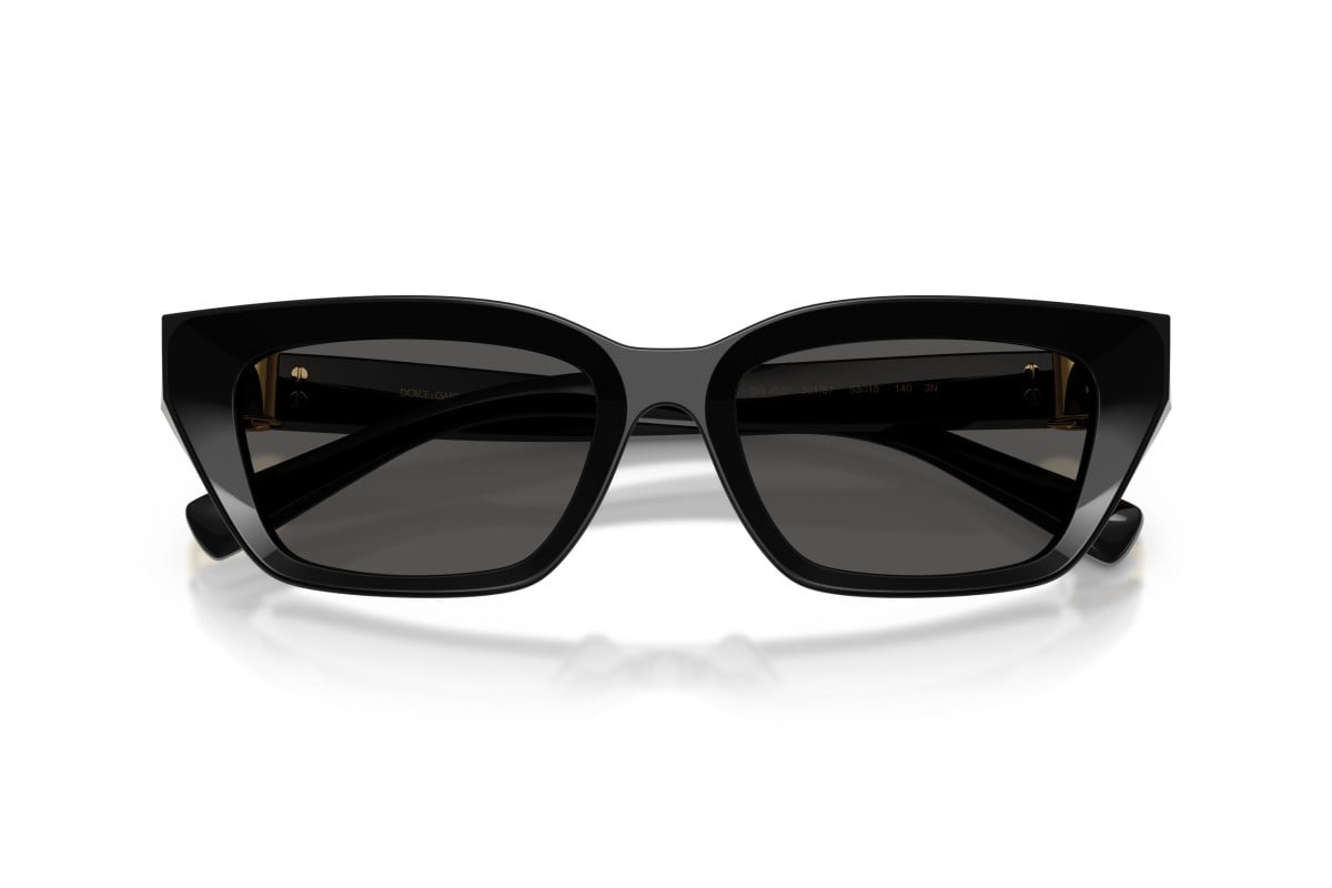 Dolce & Gabbana Sunglasses DG4532-501/87