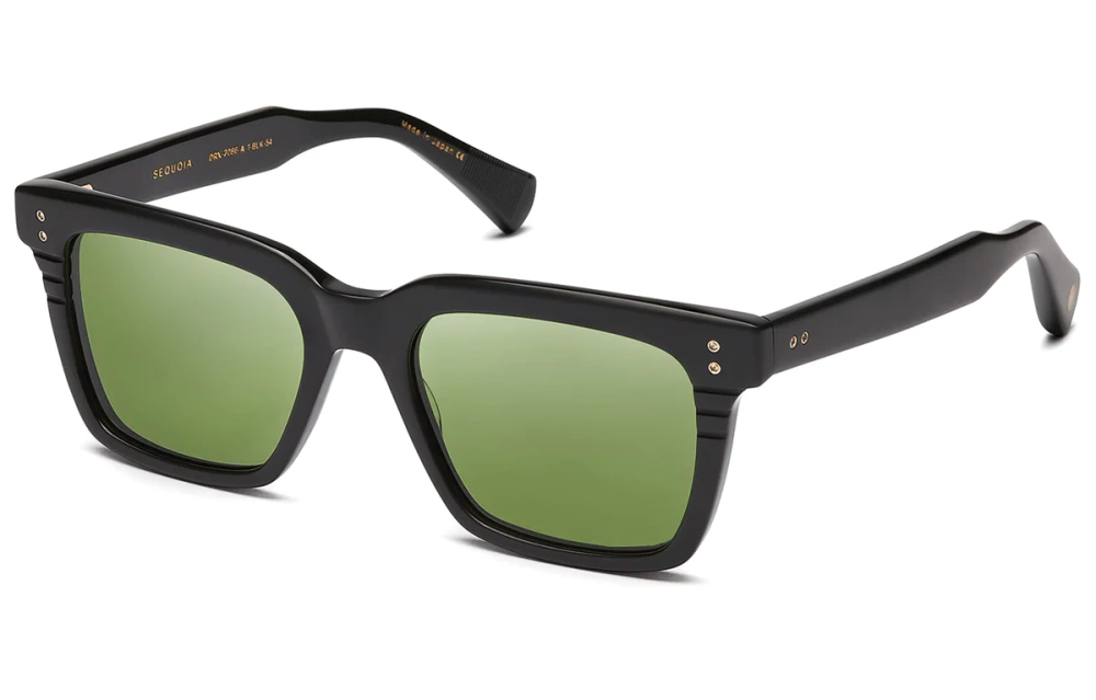 Dita Okulary przeciwsłoneczne SEQUOIA DRX-2086-A-T-BLK-54