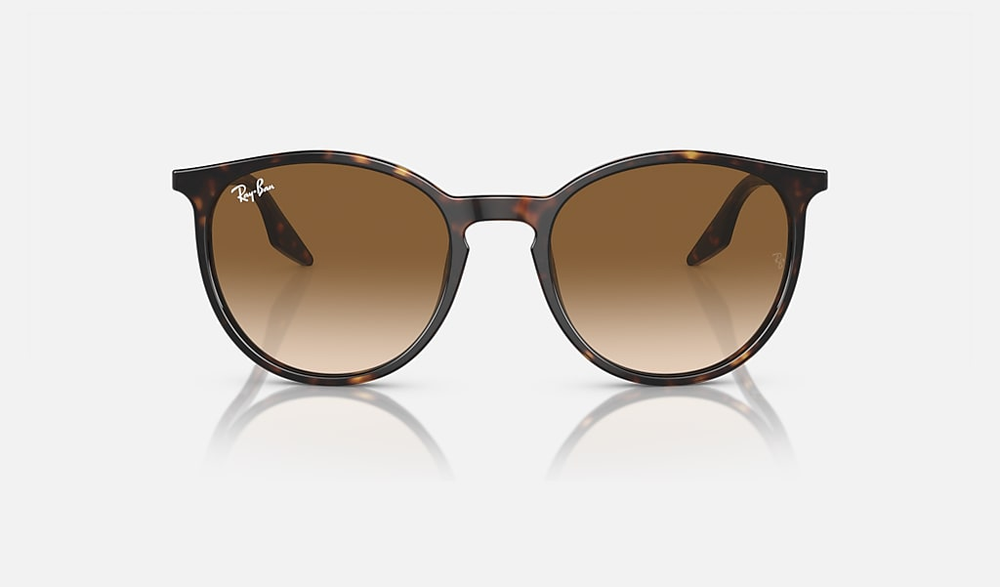 Ray-Ban Sunglasses RB2204-902/51