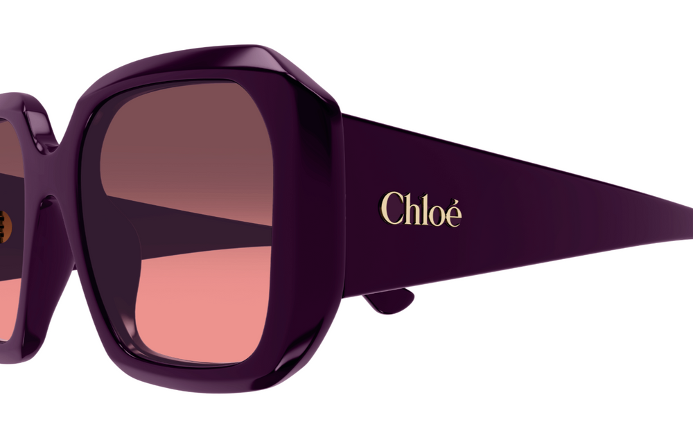 Chloe Sunglasses CH0300S-004