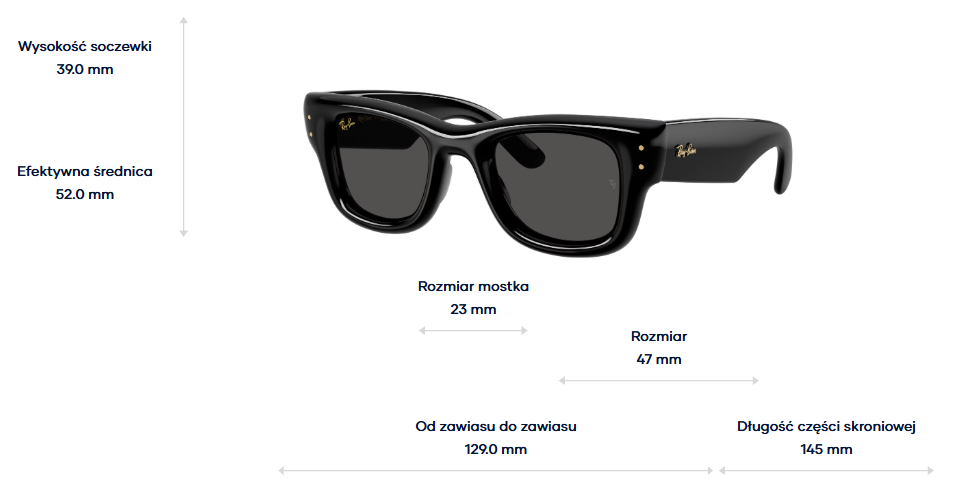 Ray-Ban x A$AP Rocky Okulary przeciwsłoneczne WAYFARER PUFFER RB4940-601/87