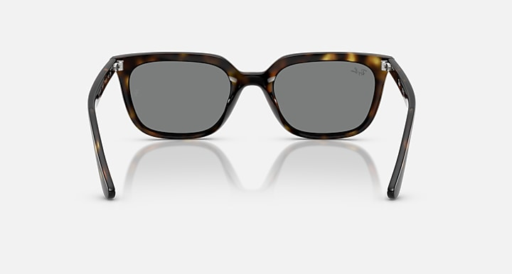 Ray-Ban Sunglasses RB4439D-710/87