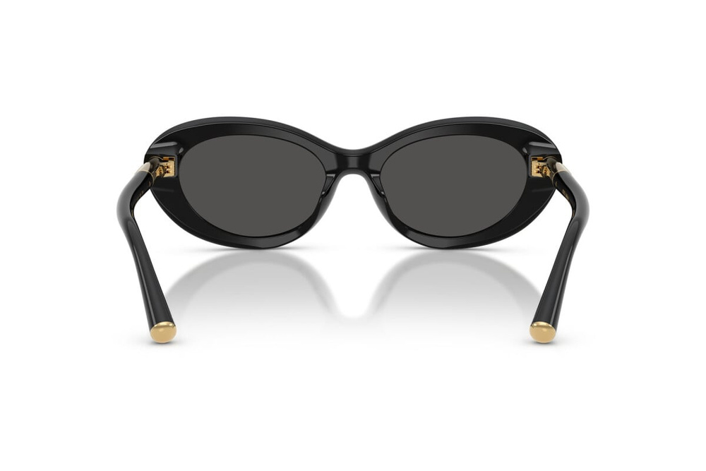 Dolce & Gabbana Sunglasses DG4519-501/87