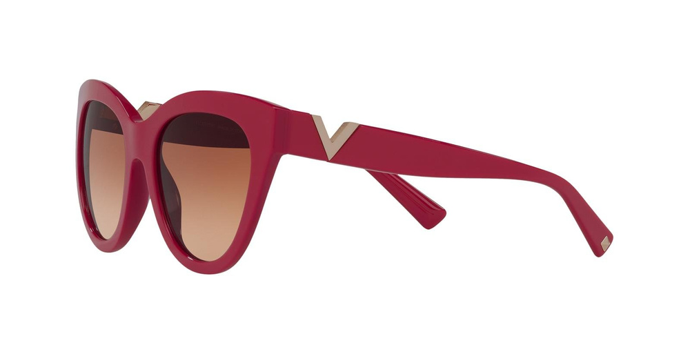 Valentino Sunglasses VA4089-511013