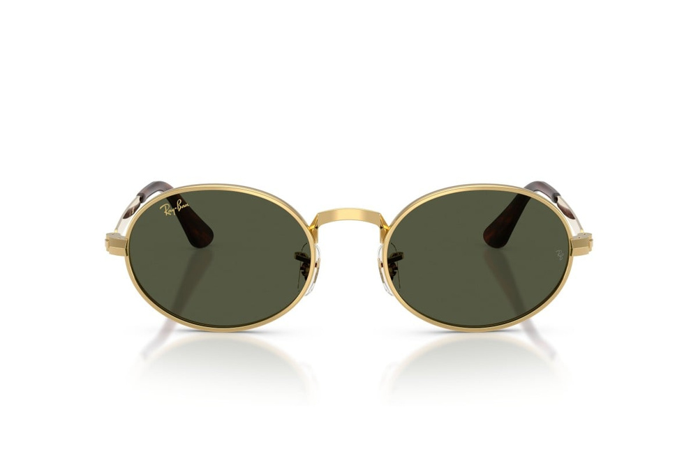 Ray-Ban Sunglasses RB3931-001/31