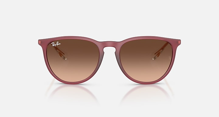 Ray-Ban Sunglasses ERIKA RB4171-6815A5