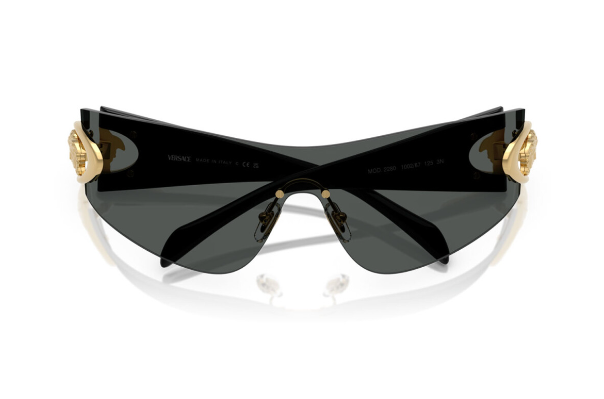 Versace Sunglasses VE2280-100287