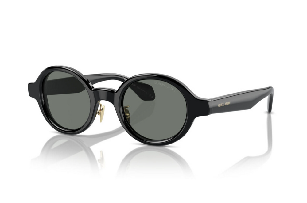 Giorgio Armani Okulary przeciwsłoneczne AR8205-6060/1