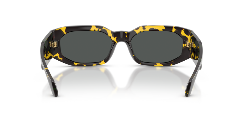 Versace Sunglasses VE4489U-552887