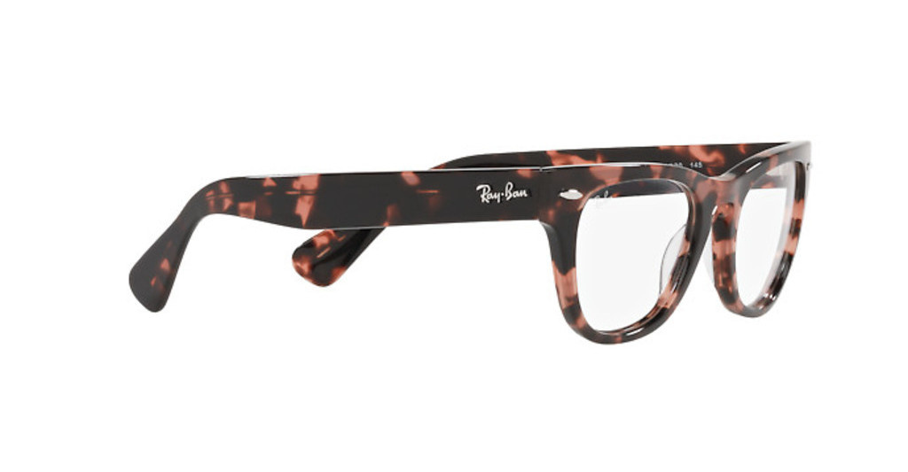 Ray-Ban Opticla frame LARAMIE RX2201V-8118