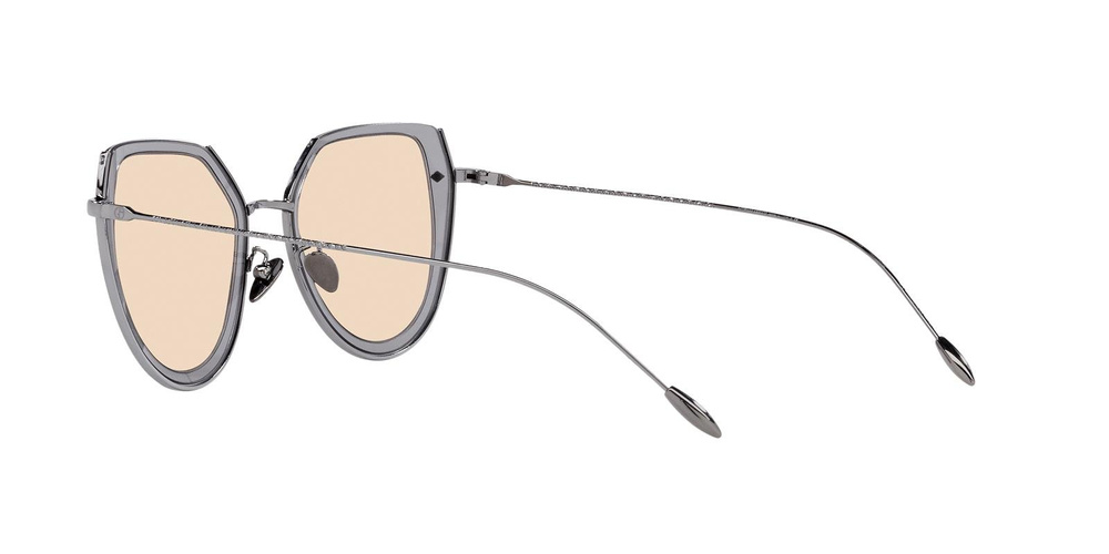 Giorgio Armani Sunglasses AR6119-301093