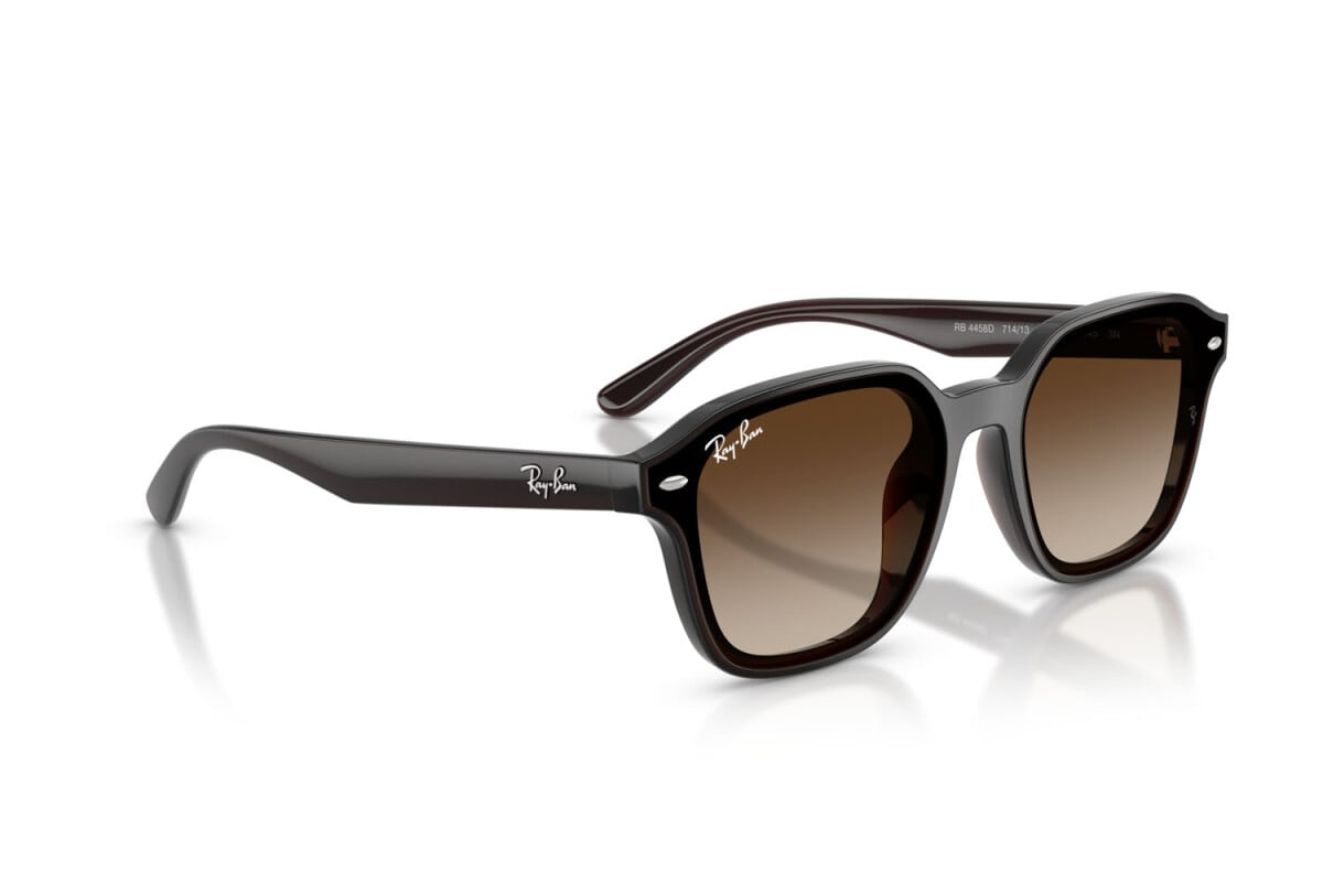 Ray-Ban Sunglasses RB4458D-714/13