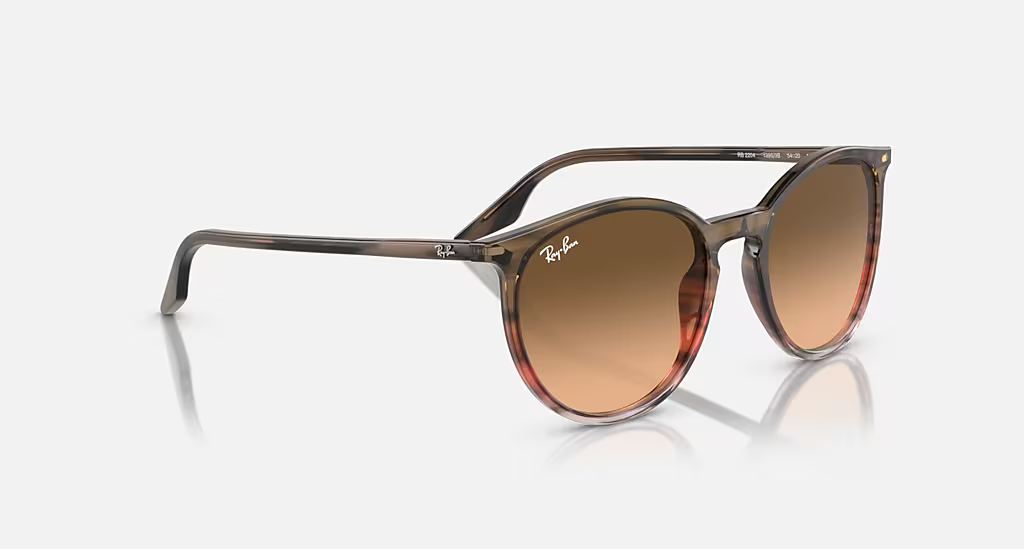 Ray-Ban Sunglasses RB2204-13953B
