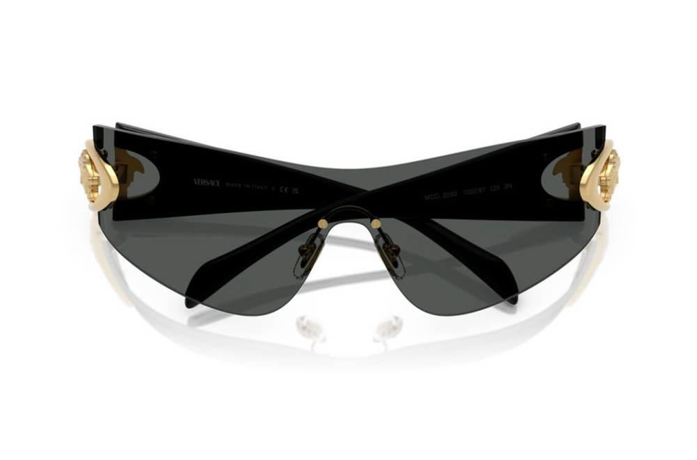 Versace Sunglasses VE2280-100287