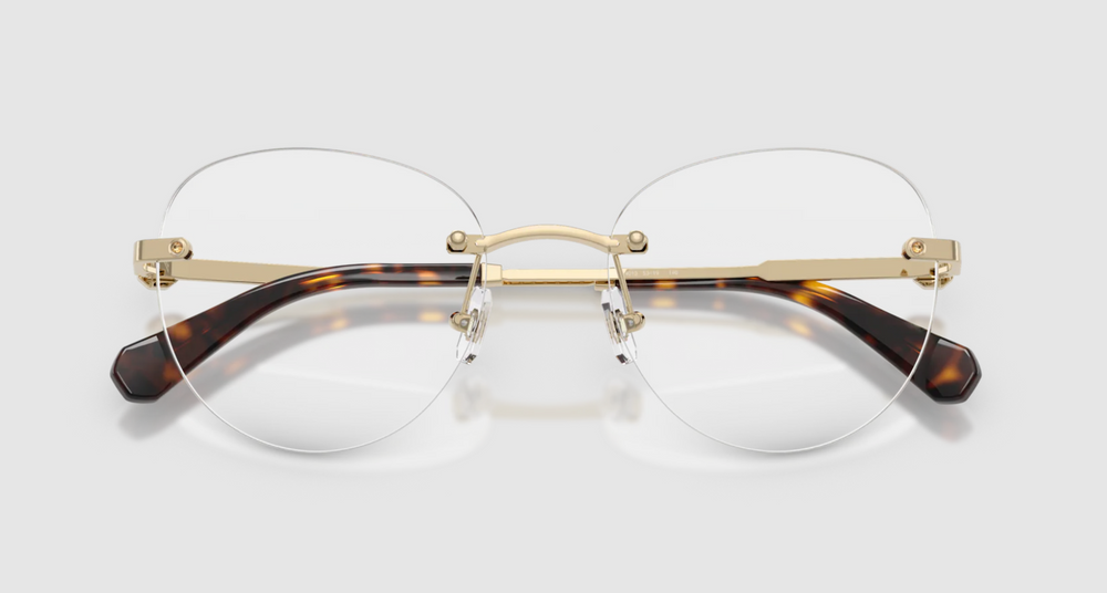 Swarovski Optical frame SK1021-4013