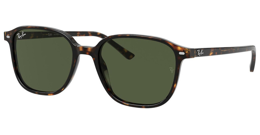 Ray-Ban Okulary przeciwsłoneczne LEONARD RB2193-902/31