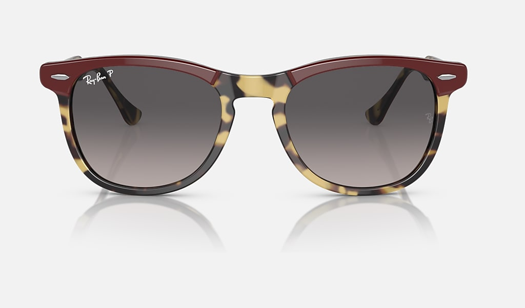 Ray-Ban Okulary przeciwsłoneczne EAGLEEYE RB2398-1377M3