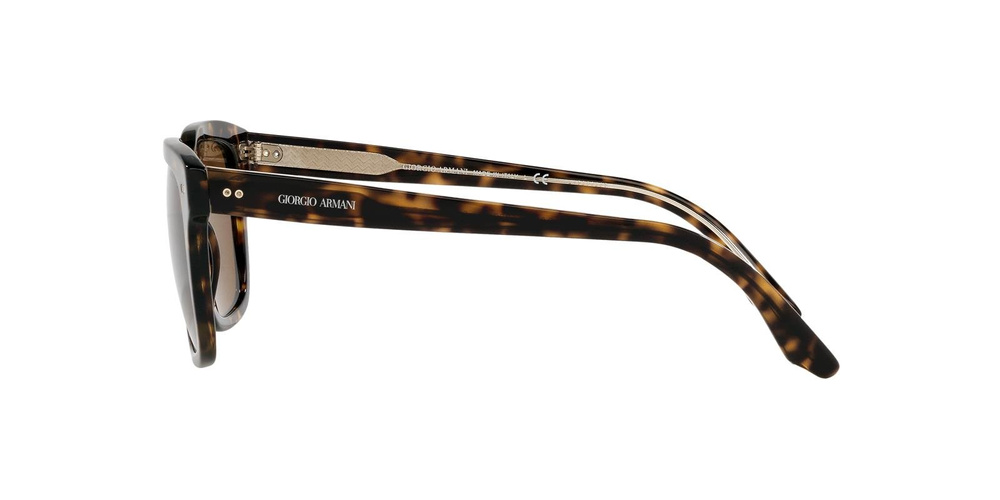 Giorgio Armani Sunglasses AR8138-502633