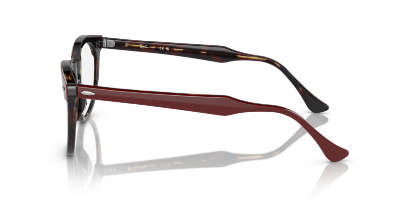 Ray-Ban Optical frame EAGLEEYE RX5598-8250