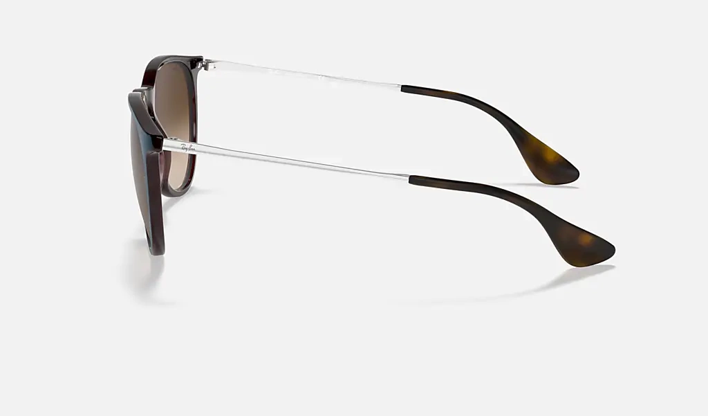 Ray-Ban Sunglasses RB4171-631513