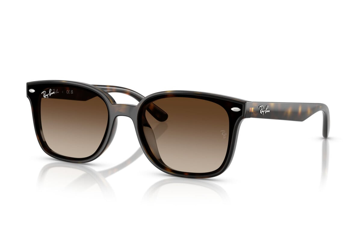 Ray-Ban Okulary przeciwsłoneczne RB4461D-710/13