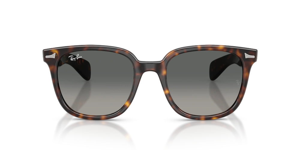 Ray-Ban Okulary przeciwsłoneczne BRUNEL II RB2235-902/71