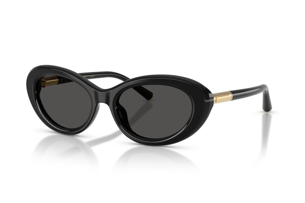 Dolce & Gabbana Sunglasses DG4519-501/87