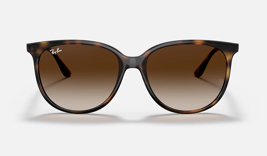 Ray-Ban Sunglasses RB4378-710/13