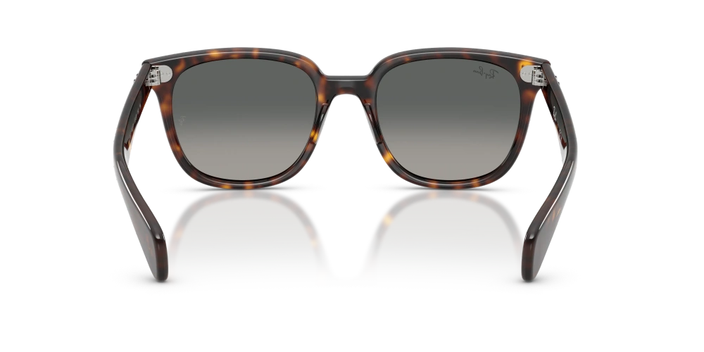 Ray-Ban Sunglasses BRUNEL II RB2235-902/71