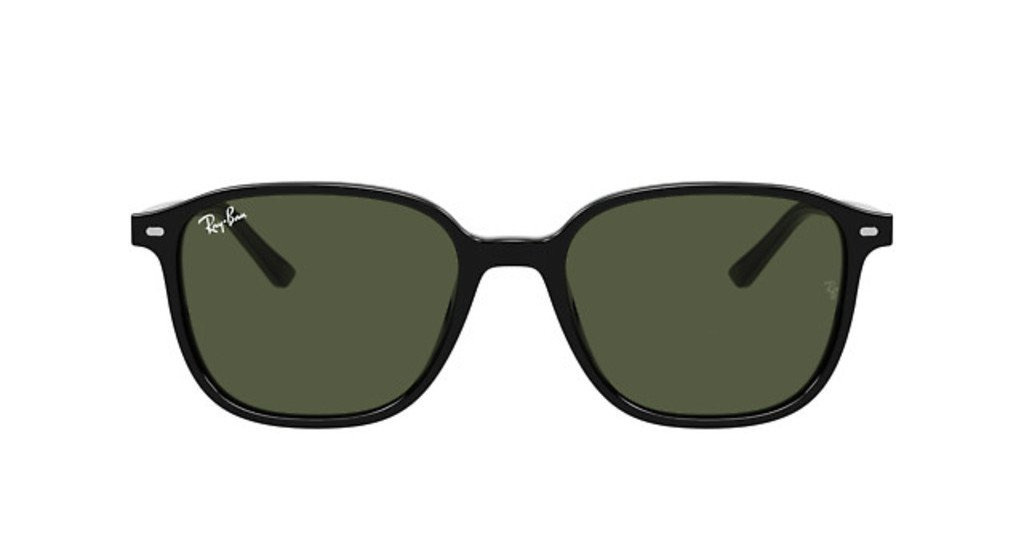 Ray-Ban Sunglasses LEONARD RB2193-901/31
