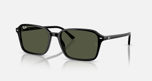 Ray-Ban Okulary przeciwsłoneczne RAIMOND RB2231-901/31