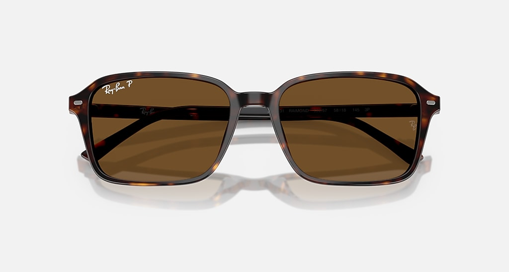 Ray-Ban Sunglasses RAIMOND RB2231-902/57