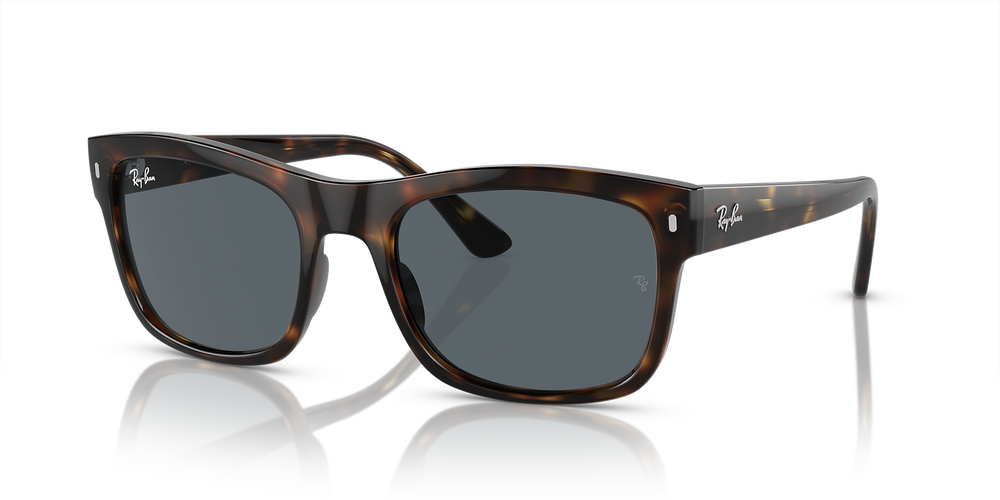 Ray-Ban Sunglasses RB4428-710/R5