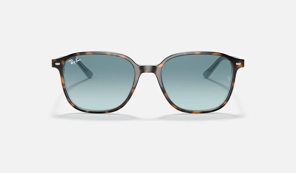Ray-Ban Okulary przeciwsłoneczne LEONARD RB2193-13163M