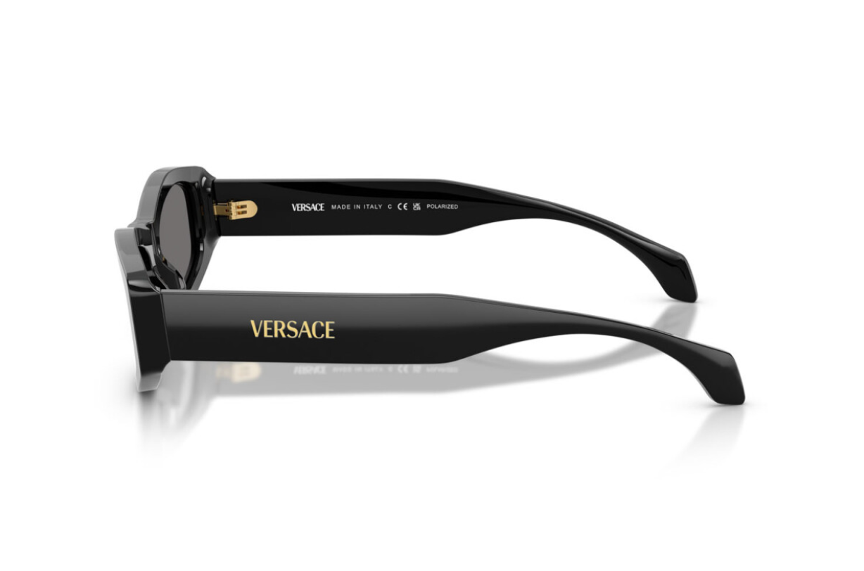 Versace Sunglasses VE4487-GB1/81