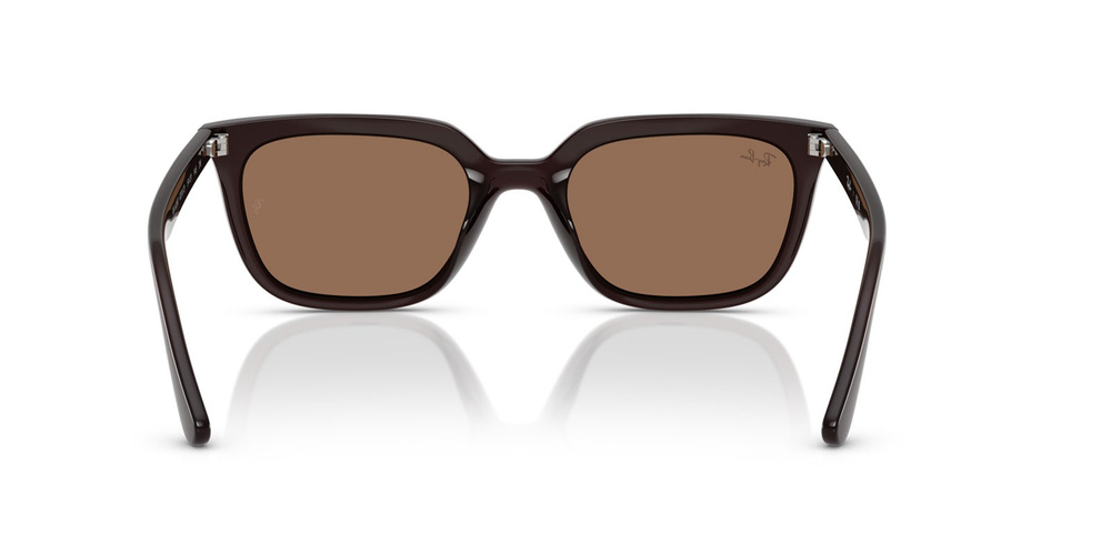 Ray-Ban Sunglasses RB4439D-623173