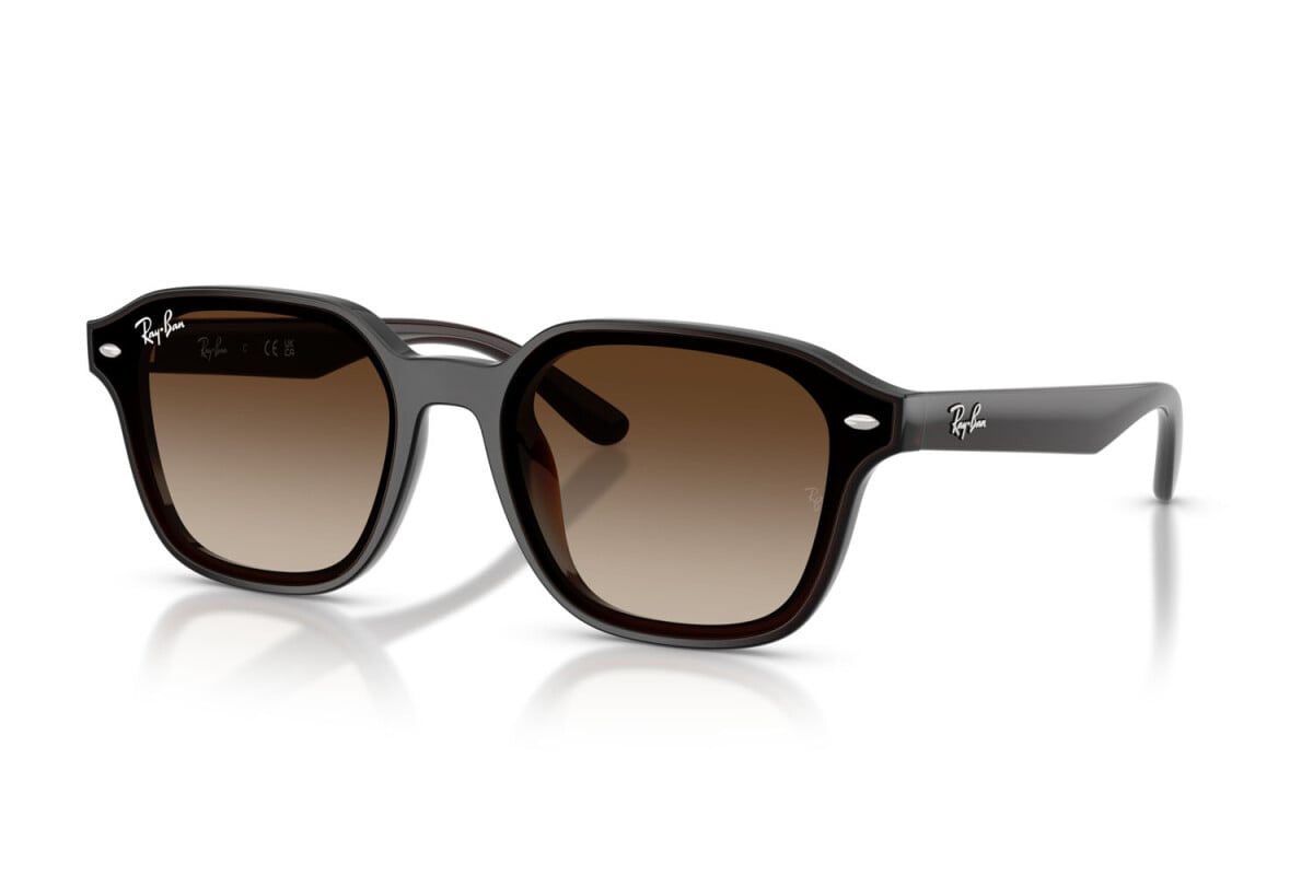 Ray-Ban Sunglasses RB4458D-714/13