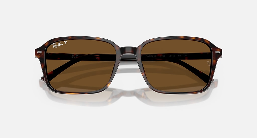 Ray-Ban Sunglasses RAIMOND RB2231-902/57
