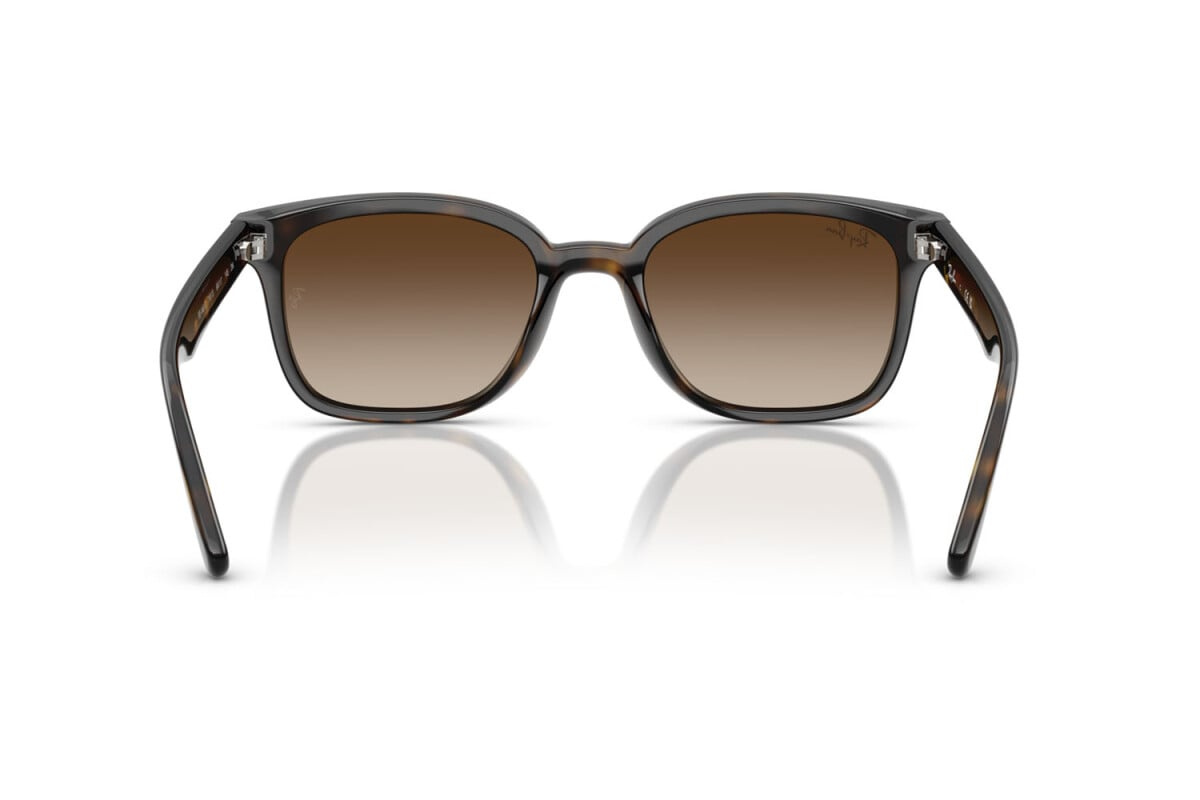 Ray-Ban Okulary przeciwsłoneczne RB4461D-710/13