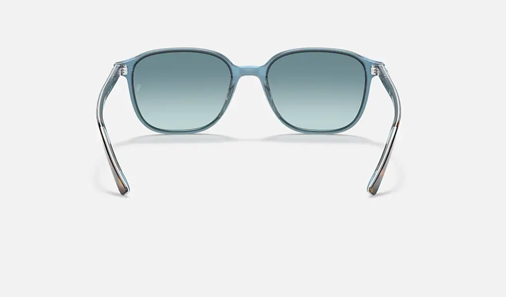 Ray-Ban Sunglasses LEONARD RB2193-13163M